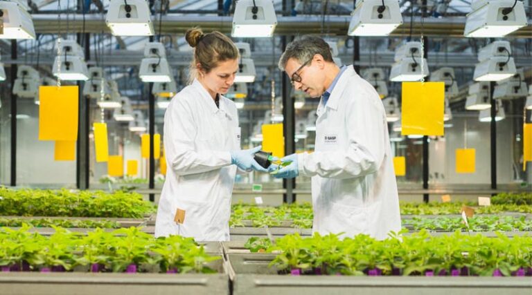 BASF’s Adapzo® Active Receives New FRAC Group Code 56 Classification