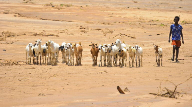 El Niño is Coming. Here Is Where The Risks To Agriculture Are Highest