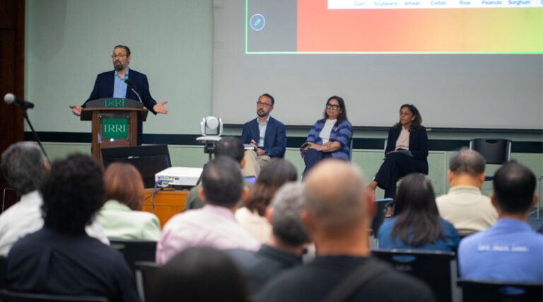 Rice, Risk, And Resilience: Navigating A More Complex Rice Economy