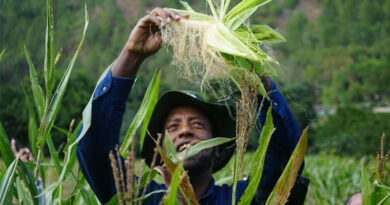 World Food Prize Foundation Recognizes CIMMYT Experts as Agri-Food Pioneers in the 2026 TAP List