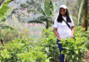 Q&A: Driving Sustainable Farming Through Legume Intensification