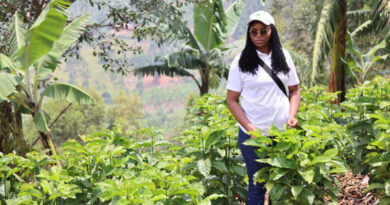 Q&A: Driving Sustainable Farming Through Legume Intensification