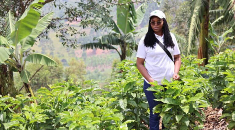Q&A: Driving Sustainable Farming Through Legume Intensification