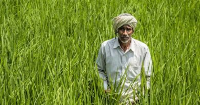 No or Negligible Rainfall Yet India Reports Higher Kharif Sowing No or Negligible Rainfall Yet India Reports Higher Kharif Sowing