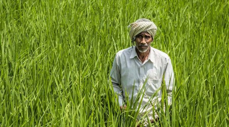 No or Negligible Rainfall Yet India Reports Higher Kharif Sowing