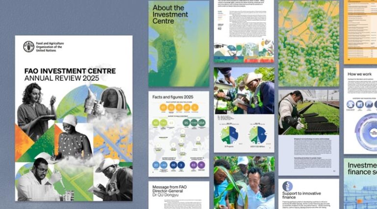FAO Investment Centre: Turning Potential Into Progress