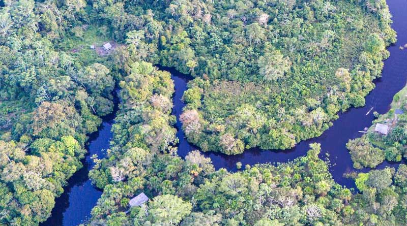 Norway and FAO Scale Up Forest Monitoring For Climate Action