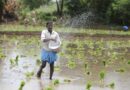 India Identifies 111 High-Priority Districts as Centre Steps Up El Niño Preparedness for Kharif 2026