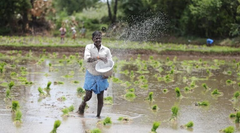 India Identifies 111 High-Priority Districts as Centre Steps Up El Niño Preparedness for Kharif 2026