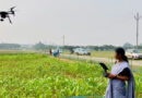 Augmented Foresight: How AI Can Make Food Systems Analysis Smarter, Faster, and More Inclusive