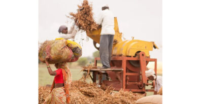 What A Stronger El Niño Could Mean For Food Systems