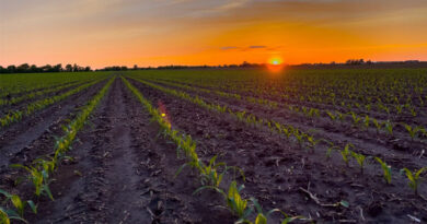 Corn Growers Applaud Supreme Court Decision