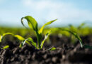 Roquette Launches NEOSORB® AG