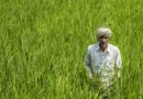 El Niño Puts India’s Agriculture on Alert as FAO Maps Global Drought Hotspots