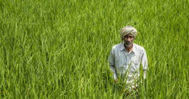 El Niño Puts India’s Agriculture on Alert as FAO Maps Global Drought Hotspots
