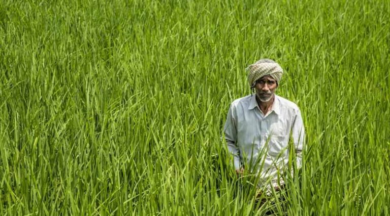 El Niño Puts India’s Agriculture on Alert as FAO Maps Global Drought Hotspots