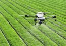 Global Agrochemical Launches 2026: New Herbicides, Insecticides, Fungicides and Biologicals