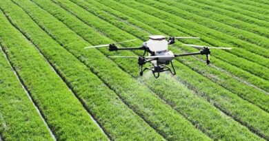 Global Agrochemical Launches 2026: New Herbicides, Insecticides, Fungicides and Biologicals