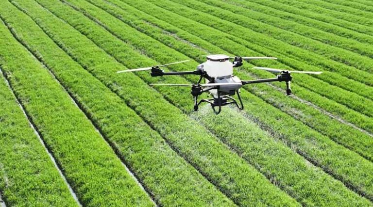 Global Agrochemical Launches 2026: New Herbicides, Insecticides, Fungicides and Biologicals