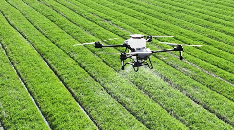 Global Agrochemical Launches 2026: New Herbicides, Insecticides, Fungicides and Biologicals