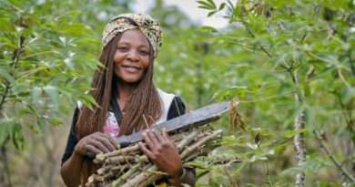 Zambia Approves Four Sustainable Farming Technologies To Strengthen Food And Nutrition Security