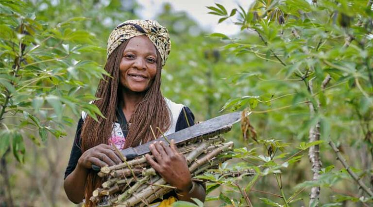 Zambia Approves Four Sustainable Farming Technologies To Strengthen Food And Nutrition Security