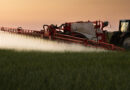 Center for Food Safety Responds to Supreme Court Decision in Monsanto v. Durnell