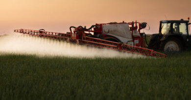 Center for Food Safety Responds to Supreme Court Decision in Monsanto v. Durnell