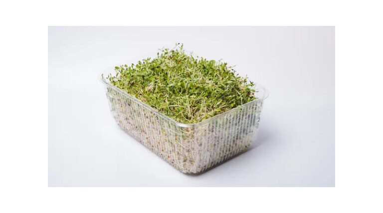 Multi-country Salmonella Outbreak Linked To Alfalfa Sprouted Seeds