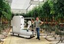 Germany's Eternal.ag Expands Autonomous Harvesting Robot Fleet with Dutch Greenhouse Grower Van Noord