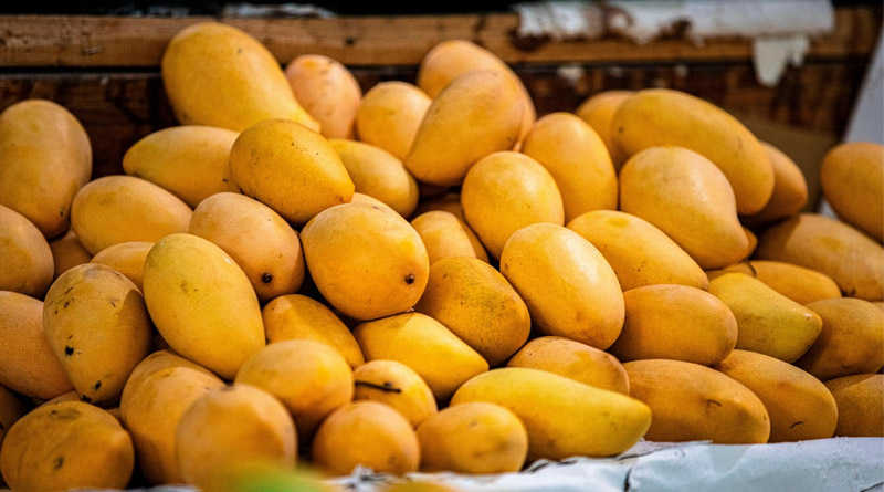 Japan Bans Indian Mango Imports Over Export Protocol Violations, Not Pesticide Residues