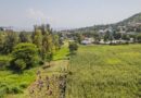 CIFOR and ICRAF Relaunch as ‘Landscape Alliance’ to Scale Nature-Based Solutions Worldwide
