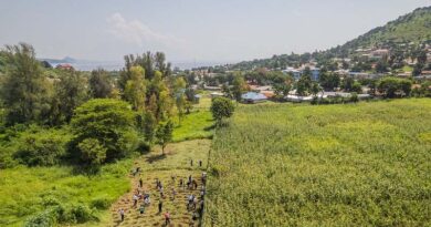 CIFOR and ICRAF Relaunch as ‘Landscape Alliance’ to Scale Nature-Based Solutions Worldwide CIFOR and ICRAF Relaunch as ‘Landscape Alliance’ to Scale Nature-Based Solutions Worldwide