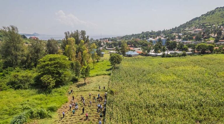 CIFOR and ICRAF Relaunch as ‘Landscape Alliance’ to Scale Nature-Based Solutions Worldwide