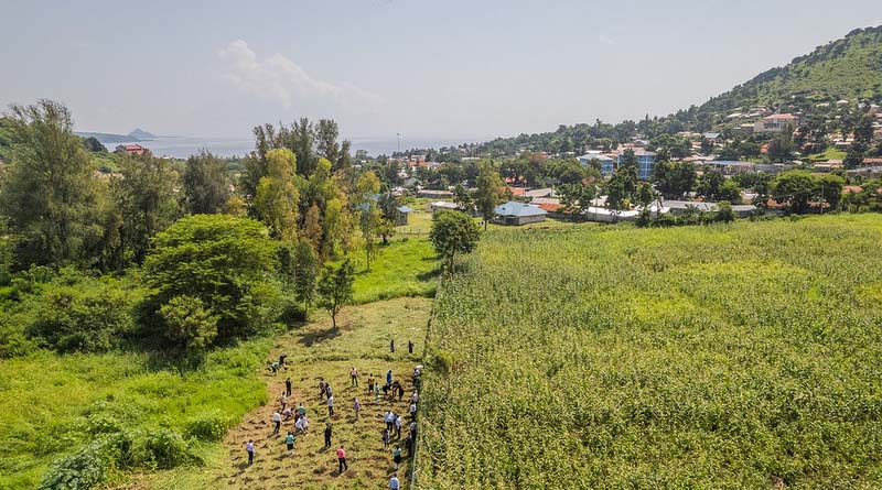 CIFOR and ICRAF Relaunch as ‘Landscape Alliance’ to Scale Nature-Based Solutions Worldwide