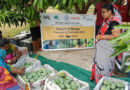 Odisha SHG Exports Amrapali Mangoes to London: Women-Led Agri Export Success Story