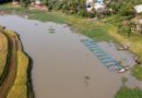 FAO Welcomes $3.9 Billion GEF-9 Replenishment to Scale Sustainable Agrifood Systems Worldwide