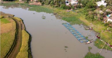 FAO Welcomes $3.9 Billion GEF-9 Replenishment to Scale Sustainable Agrifood Systems Worldwide FAO Welcomes $3.9 Billion GEF-9 Replenishment to Scale Sustainable Agrifood Systems Worldwide