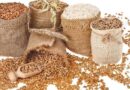 FAO Forecasts 2% Drop in World Cereal Output for 2026/27