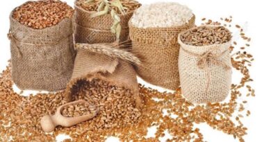 FAO Forecasts 2% Drop in World Cereal Output for 2026/27