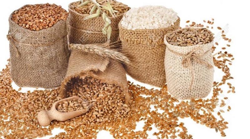FAO Forecasts 2% Drop in World Cereal Output for 2026/27