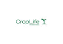 Innovation Delayed Is Progress Denied: New Study Reveals $307M Cost and 11-Year Path to Crop Protection Innovation