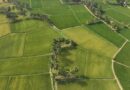 Kerala Emerges As A Hub For Low-emission Rice Innovations