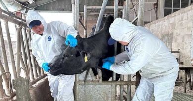 FAO Report Highlights Long-term Economic Case For Tackling Antimicrobial Resistance In Livestock FAO Report Highlights Long-term Economic Case For Tackling Antimicrobial Resistance In Livestock