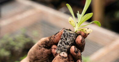 Global Agricultural Biologicals Market to Reach USD 25 Billion by 2027 as India Emerges as a High-Growth Opportunity Global Agricultural Biologicals Market to Reach USD 25 Billion by 2027 as India Emerges as a High-Growth Opportunity