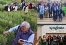 Strengthening Climate-Resilient Wheat Systems Across CWANA: CLIMARES Advances Collaboration in Morocco and Jordan