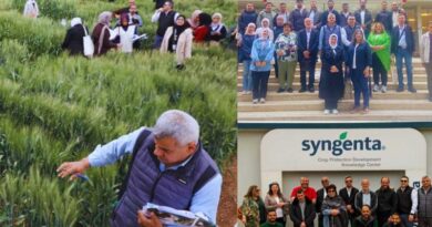 Strengthening Climate-Resilient Wheat Systems Across CWANA: CLIMARES Advances Collaboration in Morocco and Jordan Strengthening Climate-Resilient Wheat Systems Across CWANA: CLIMARES Advances Collaboration in Morocco and Jordan