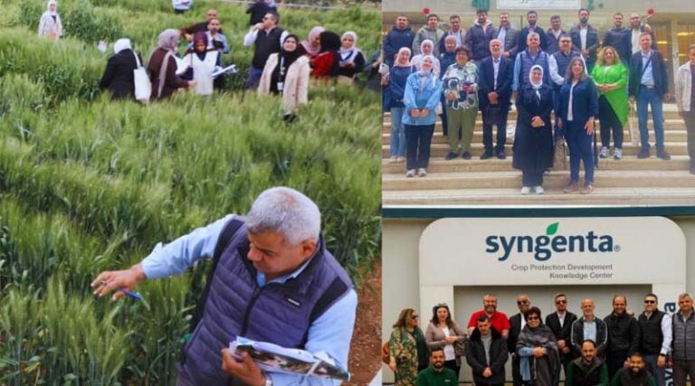 Strengthening Climate-Resilient Wheat Systems Across CWANA: CLIMARES Advances Collaboration in Morocco and Jordan