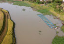 From Record growth to Impact: FAO Welcomes Ambitious New Funding Cycle Of Global Environment Facility