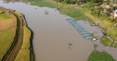 From Record growth to Impact: FAO Welcomes Ambitious New Funding Cycle Of Global Environment Facility From Record growth to Impact: FAO Welcomes Ambitious New Funding Cycle Of Global Environment Facility